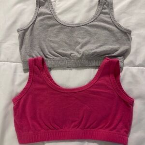 Gray and Pink Sports Bras